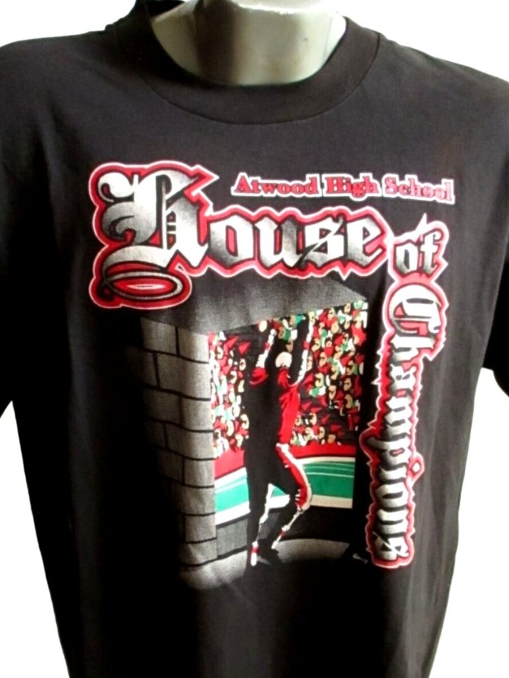 True Vintage T-shirt XL Single Stitch 1990's Atwood Kansas Football Champs USA